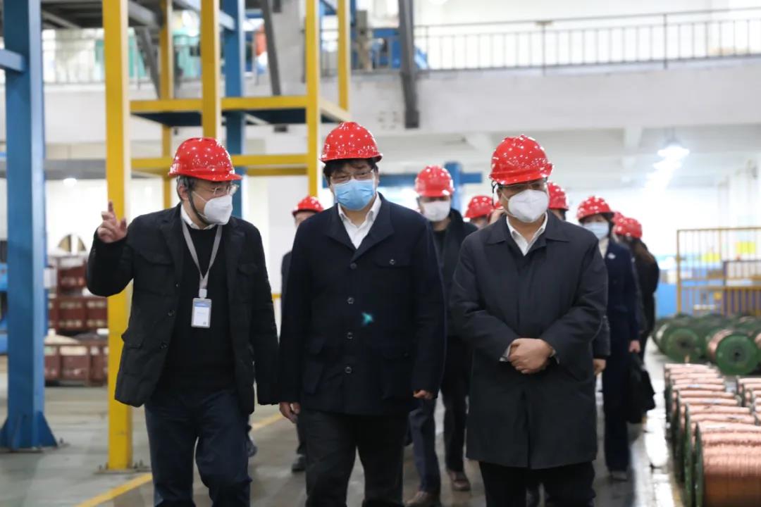 省委組織部副部長胡旭陽一行赴浙江中大元通特種電纜有限公司開展 “三服務”活動 調研指導疫情防控和復工復產